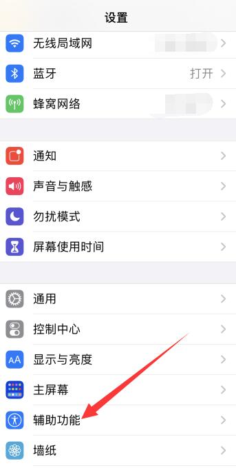 iPhone引导式访问打不开