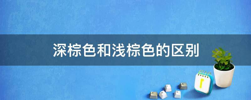 深棕色和浅棕色的区别 深棕色和浅