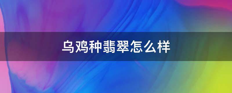 乌鸡种翡翠怎么样（乌鸡翡翠怎么样的