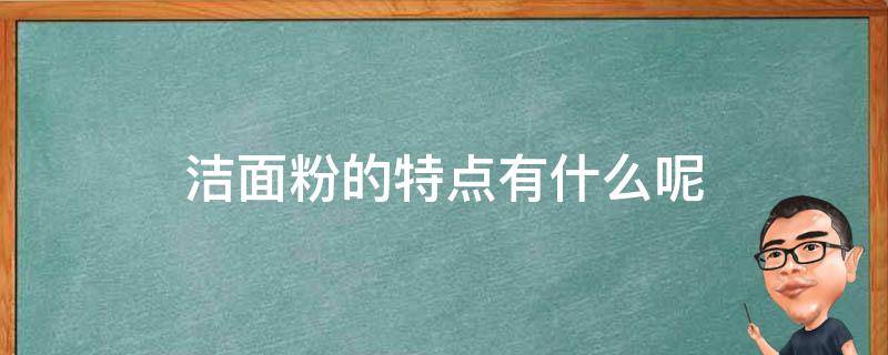 洁面粉的特点有什么呢（洁面粉是什么