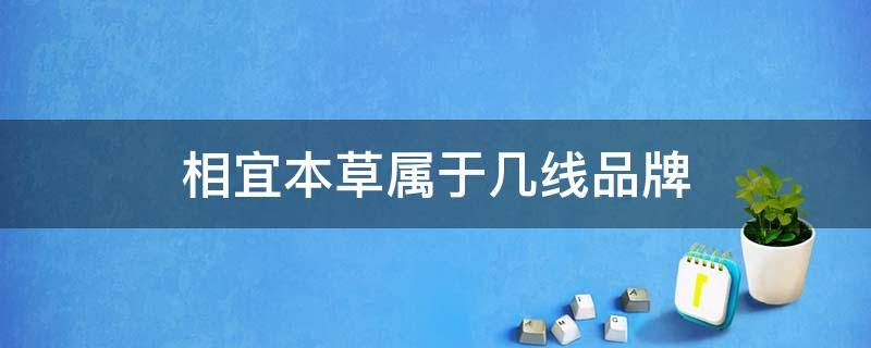 相宜本草属于几线品牌 相宜本草是