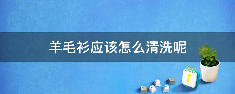 羊毛衫应该怎么清洗呢（羊毛衫应该怎