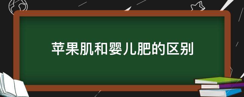 苹果肌和婴儿肥的区别 婴儿苹果肌