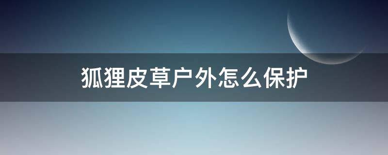 狐狸皮草户外怎么保护（狐狸皮草户外