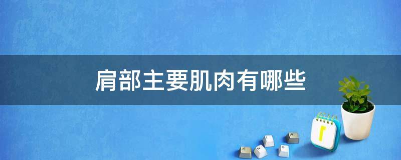 肩部主要肌肉有哪些 肩部主要肌肉