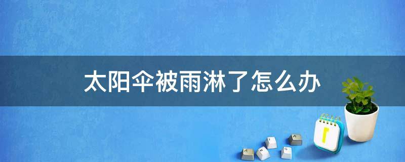 太阳伞被雨淋了怎么办（太阳伞被雨淋