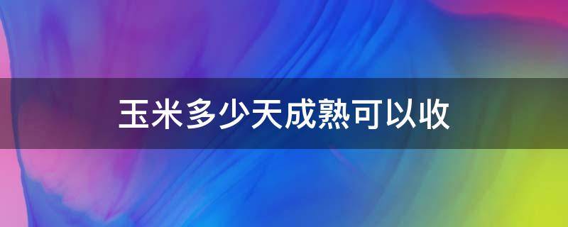 玉米多少天成熟可以收 玉米从播种