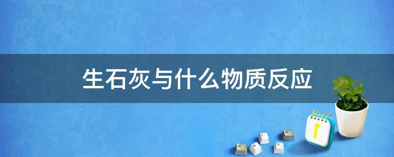 生石灰与什么物质反应 生石灰与什