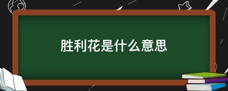 胜利花是什么意思 胜利花代表什么