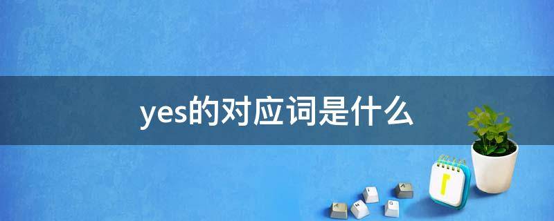 yes的对应词是什么 yes的相对应的