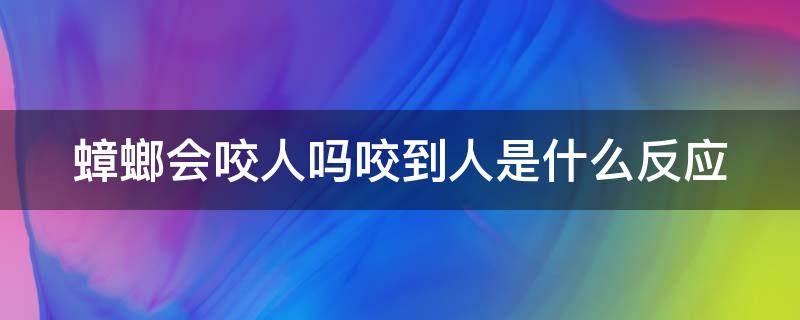 蟑螂会咬人吗咬到人是什么反应 蟑