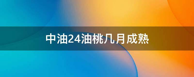 中油24油桃几月成熟（中油24号油桃品