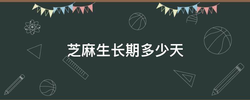 芝麻生长期多少天 芝麻生长期多少