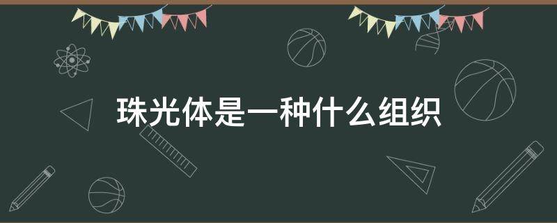 珠光体是一种什么组织 珠光体的定