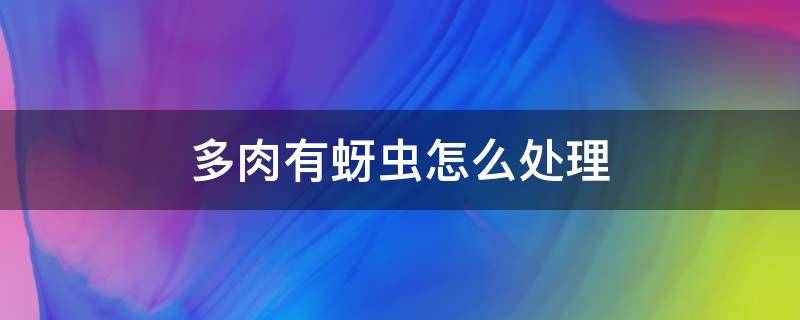 多肉有蚜虫怎么处理 多肉有蚜虫怎