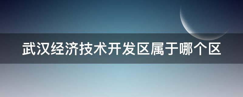 武汉经济技术开发区属于哪个区（武汉