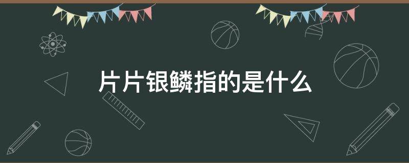 片片银鳞指的是什么（片片银鳞指的是