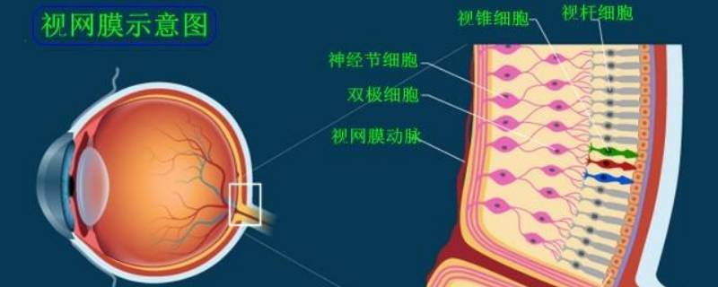 可以把光反射回什么达到收集光线的