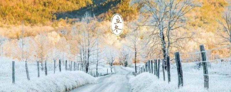 立冬下雪吗（立秋下雨好不好）